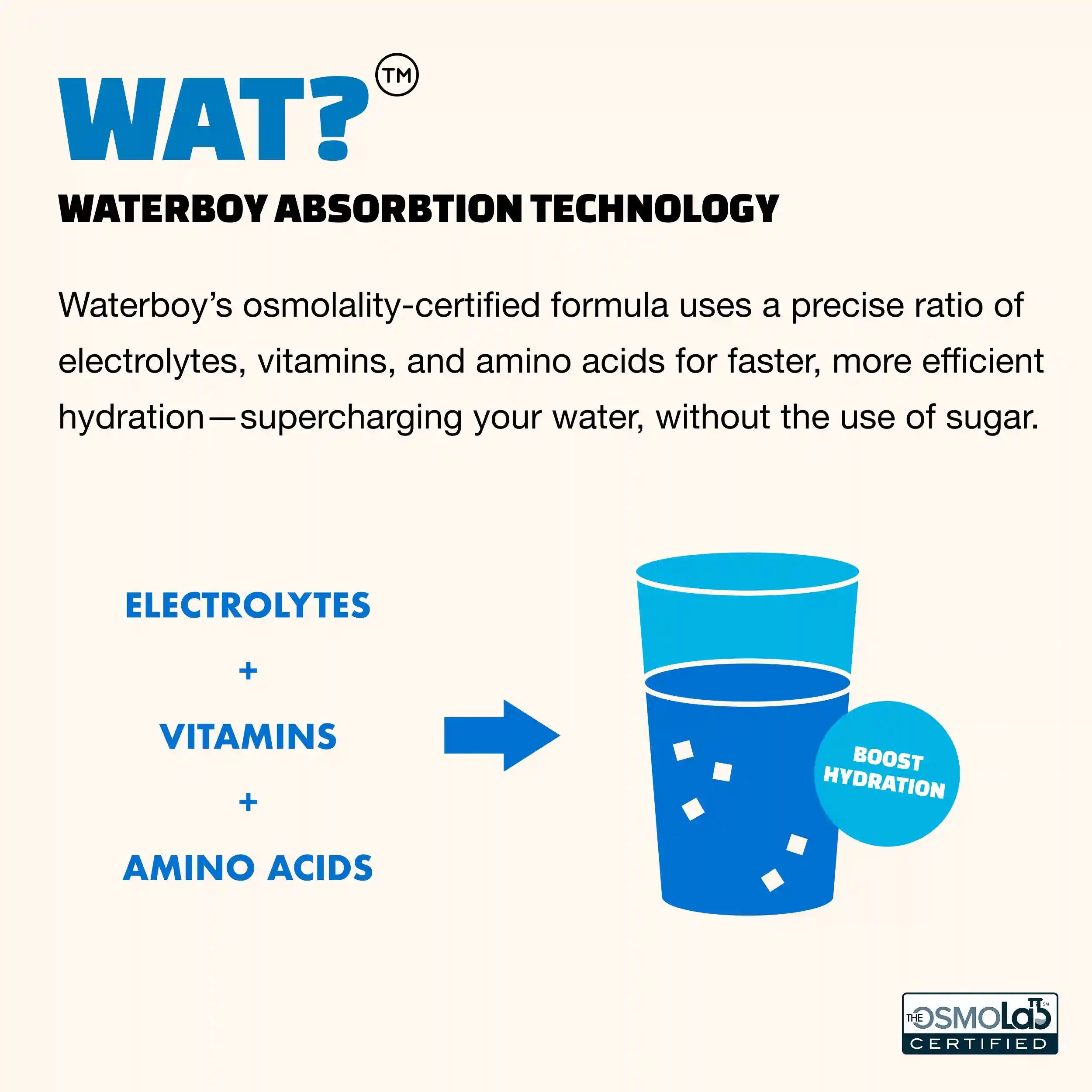  electrolyteswaterboy.com